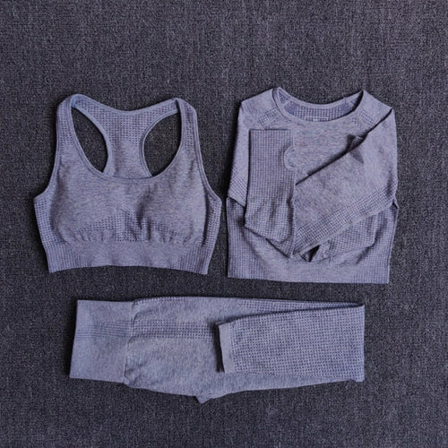 Women Seamless Yoga Set Fitness Sports Suits Gym Clothing Long Sleeve